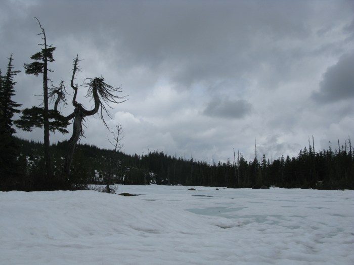 Summer comes late to Bachelor Lake, pictured here in June.