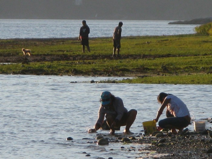 Scavenging the Porpoise Bay shoreline. Sunshine Coasters are spoiled for choice when it comes to parks and beaches.