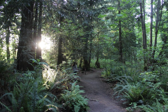 Kinnikinnick Park, West Sechelt.