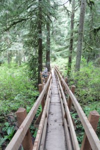 Cliff Gilker Park, Roberts Creek.