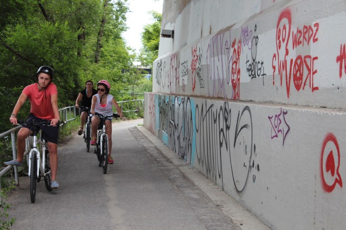 The Lower Don Trail, where graffiti is prolific as wildflowers.