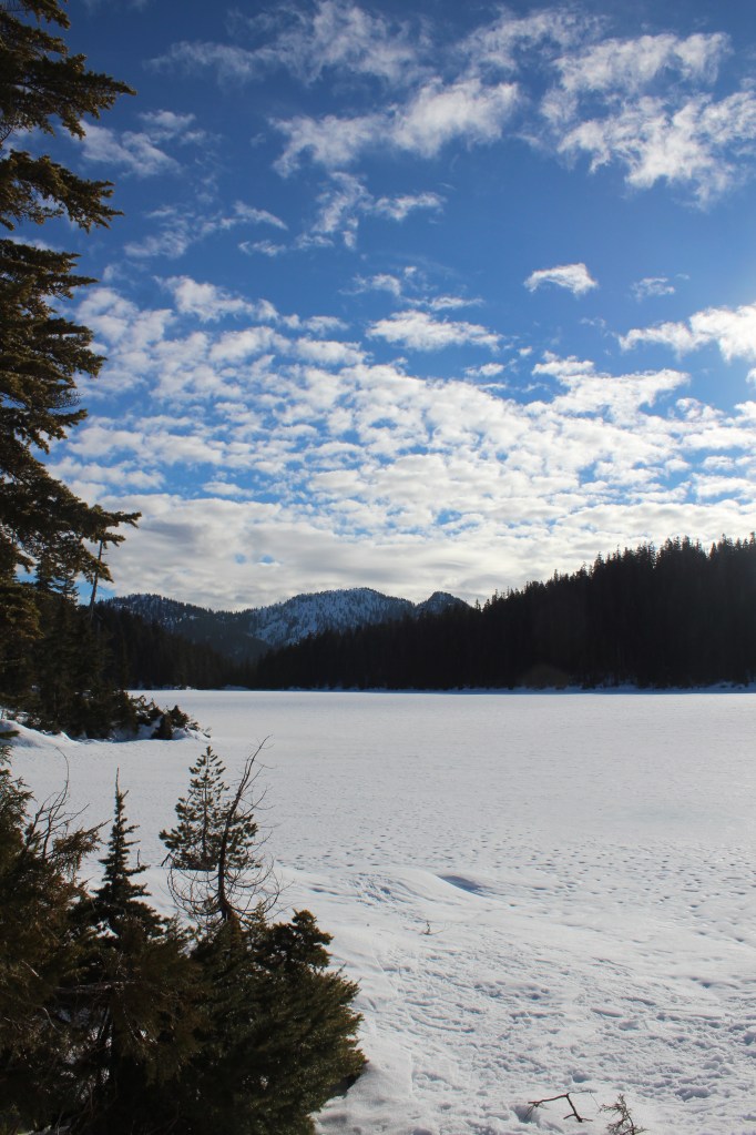 Downtime at Edwards Lake. We opted not to test the ice.