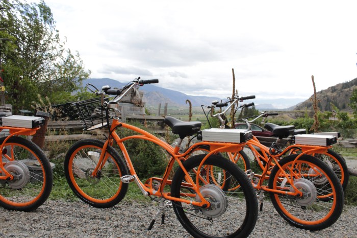 Only on a wine-tasting tour can you really appreciate what a 48-volt, 10-amp electric engine can do. The Pedego is one sweet ride!