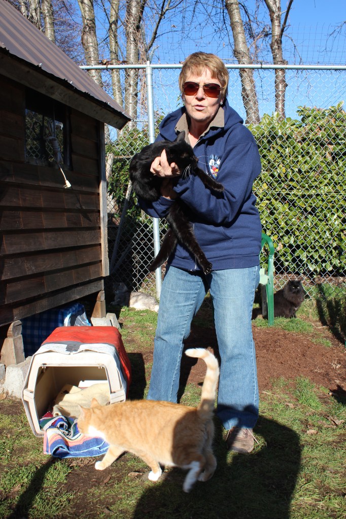 Happy Cat Haven volunteer, Marcia Timbers - aka The Cat Whisperer.