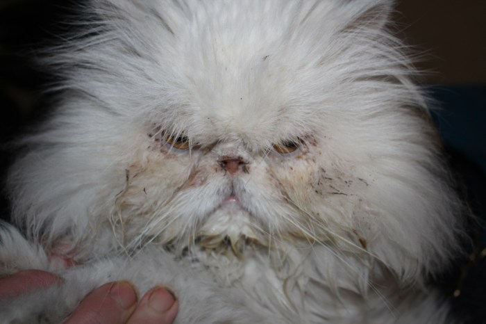 Smooshie refuses to say 'cheese'.