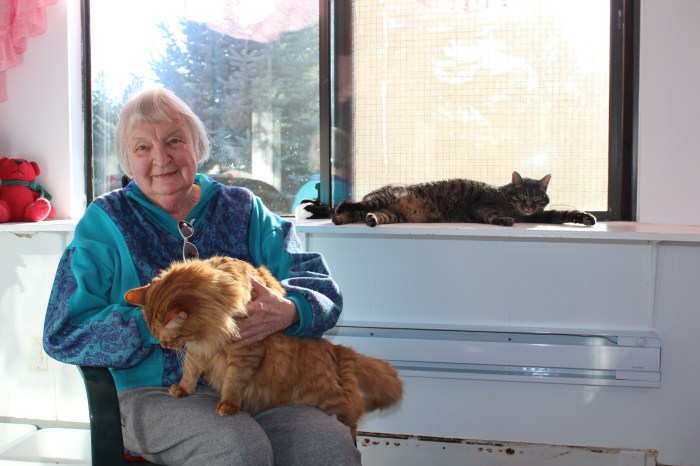 Violet Winegarden in her element at the Happy Cat Haven.