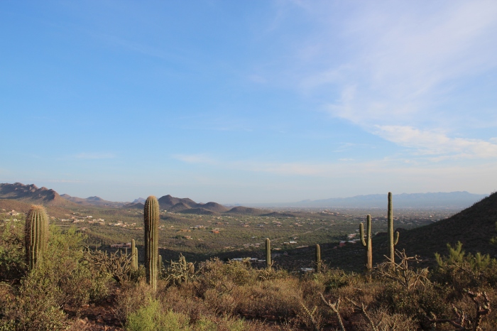 Tucson view